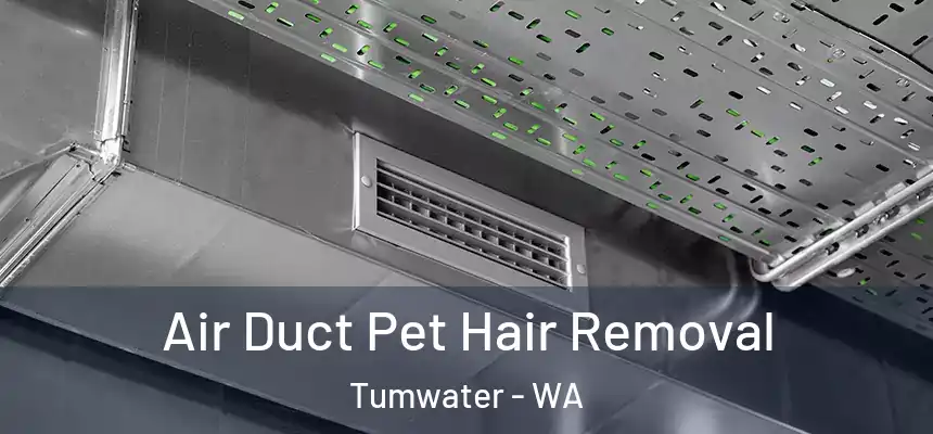  Air Duct Pet Hair Removal Tumwater - WA
