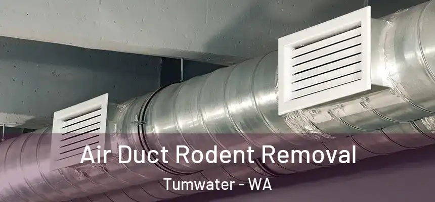  Air Duct Rodent Removal Tumwater - WA