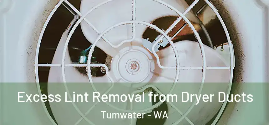  Excess Lint Removal from Dryer Ducts Tumwater - WA