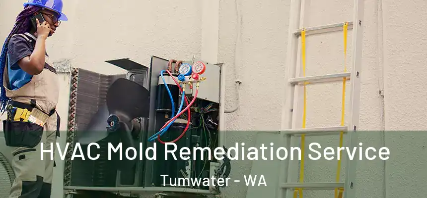  HVAC Mold Remediation Service Tumwater - WA