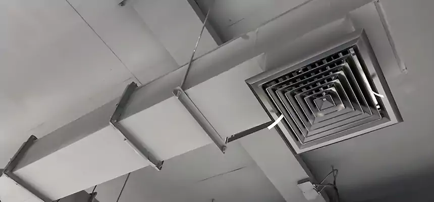 Our Rodent Droppings In Vents Services in Tumwater, WA