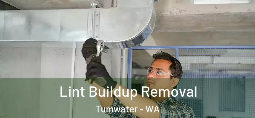  Lint Buildup Removal Tumwater - WA