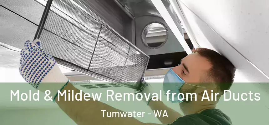  Mold & Mildew Removal from Air Ducts Tumwater - WA