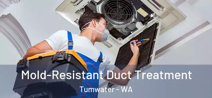  Mold-Resistant Duct Treatment Tumwater - WA