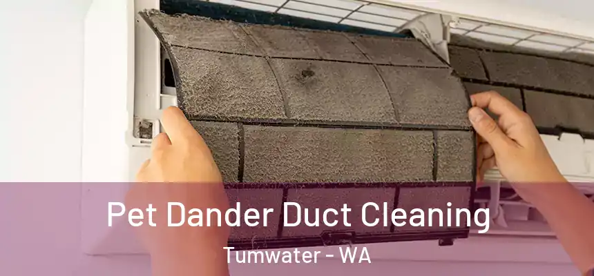  Pet Dander Duct Cleaning Tumwater - WA