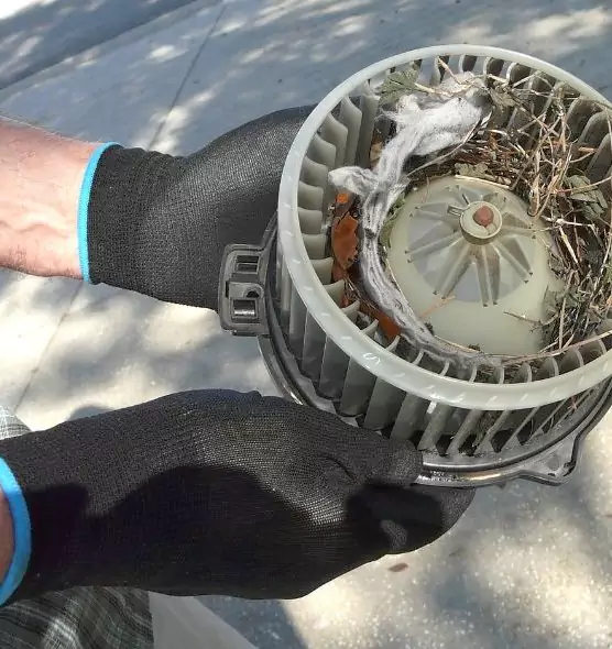 About Air Duct Rat Removal in Tumwater, WA