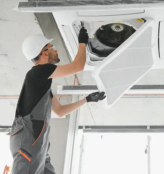 About Air Duct Rodent Removal in Tumwater, WA