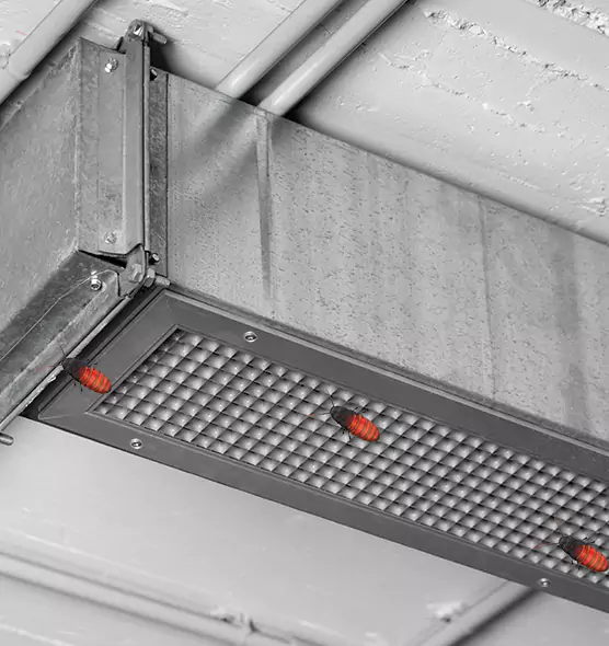 Affordable Insect Removal from Air Ducts in Tumwater, WA