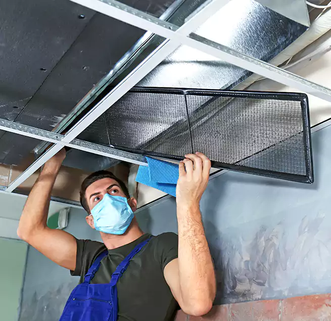 Why Homeowners Businesses Trust Us in Tumwater, WA